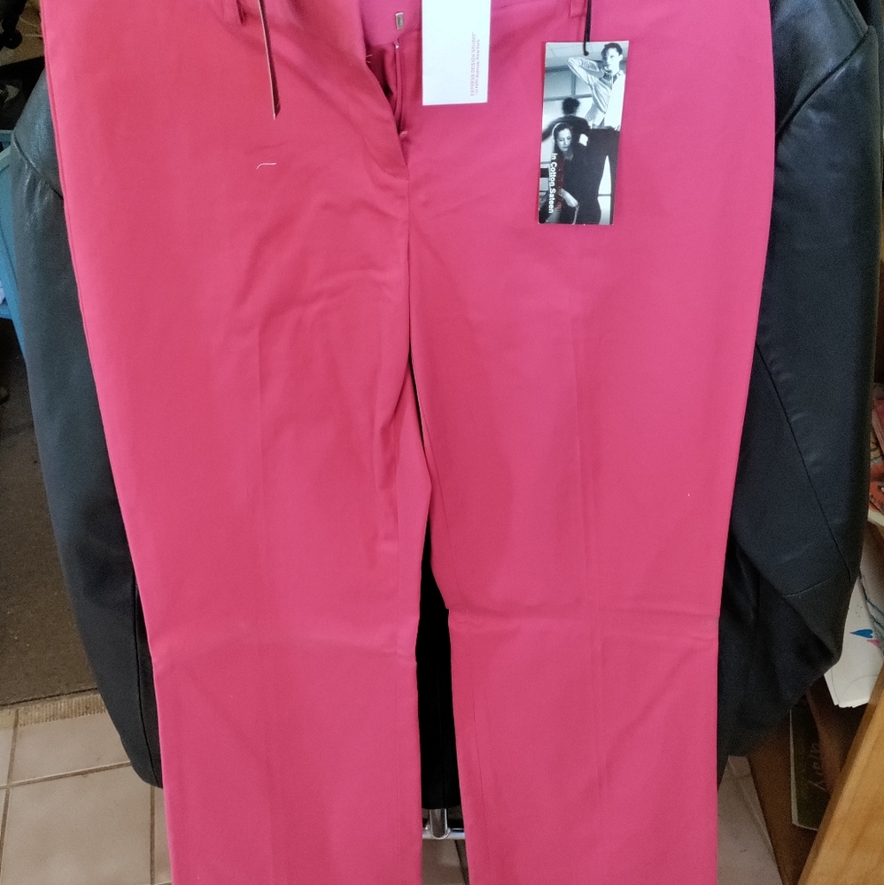 Express editor sz 2 --NWT--pants